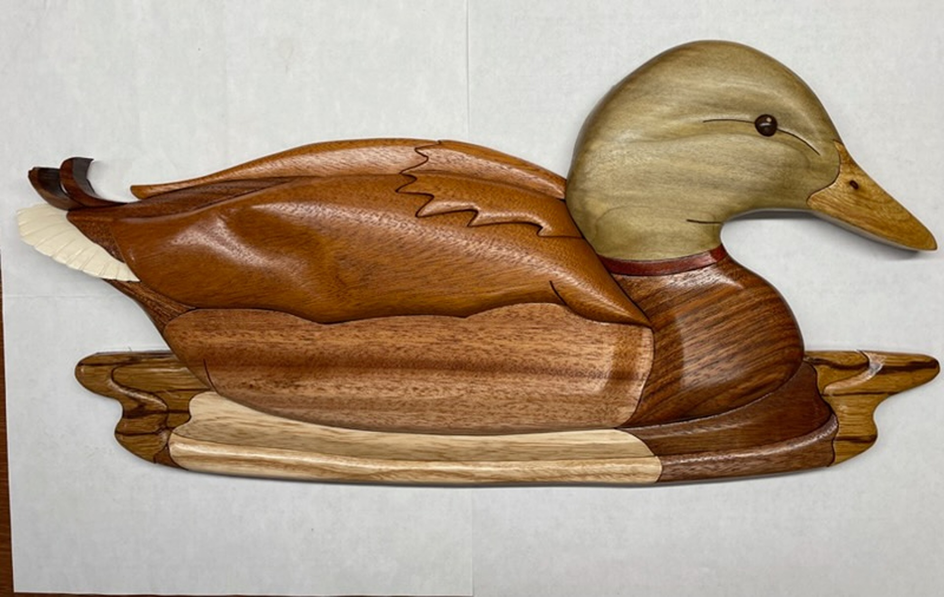 Intarsia Duck